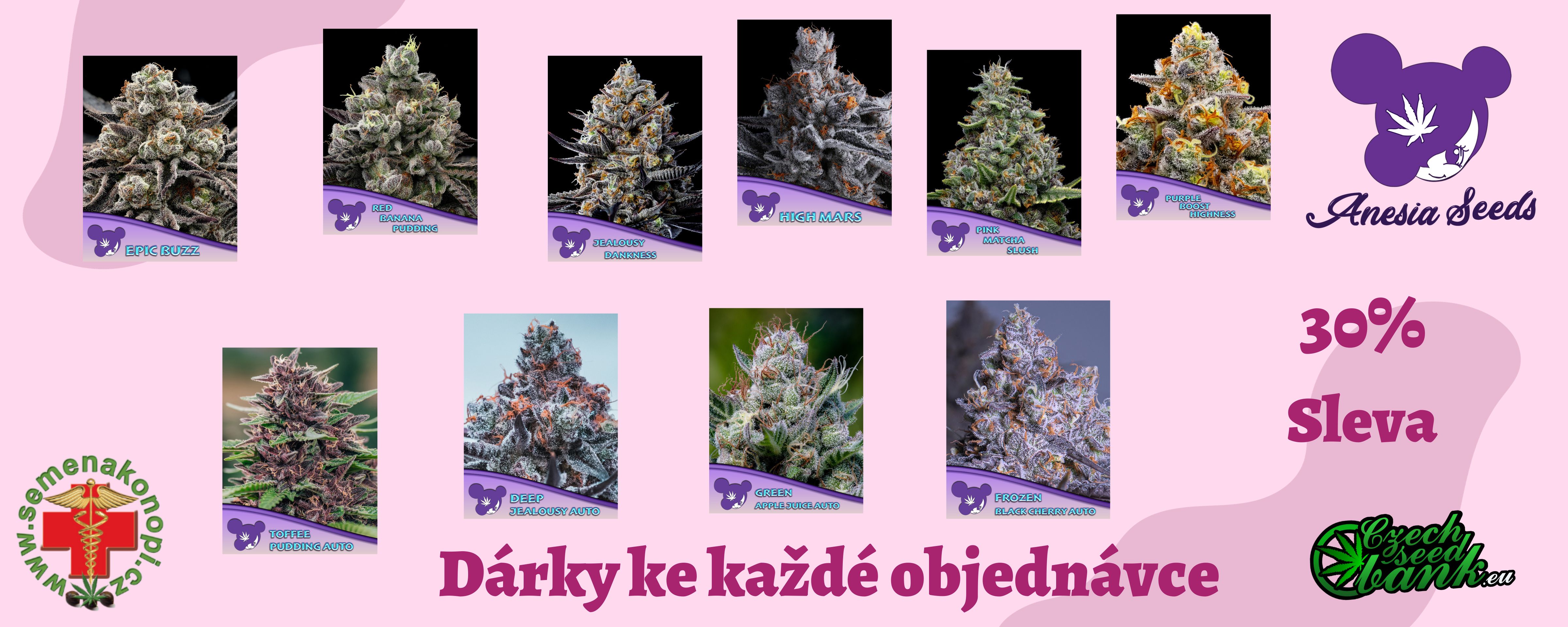 Vánoce 2020 (50 × 20 in)
